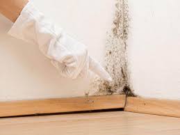 Best Mold Removal for HVAC Installations in Kouts, IN